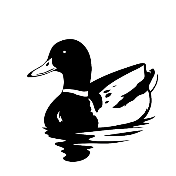 It’s Still a&nbsp;Duck!