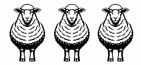 Essay:  The Manufacture of Excellent&nbsp;Sheep